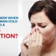 How To Know When Your Common Cold Turns Into A Sinus Infection